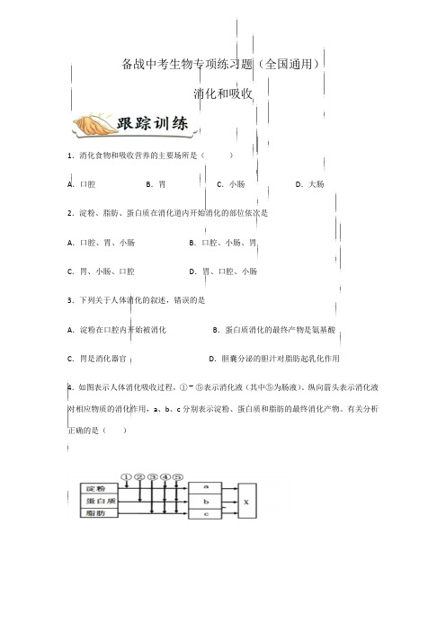 备战中考生物专项练习题——消化和吸收全国通用,含答案)