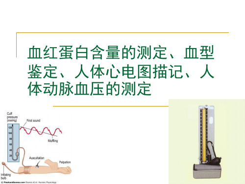 血红蛋白含量的测定血型鉴定