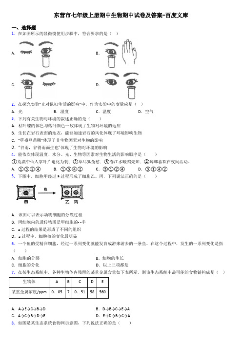 东营市七年级上册期中生物期中试卷及答案-百度文库