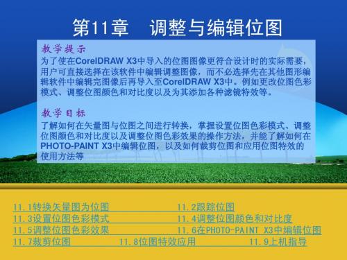 《CorelDRAW X3中文版基础教程与上机指导》第11章：调整与编辑位图