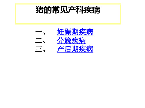 猪的常见产科疾病