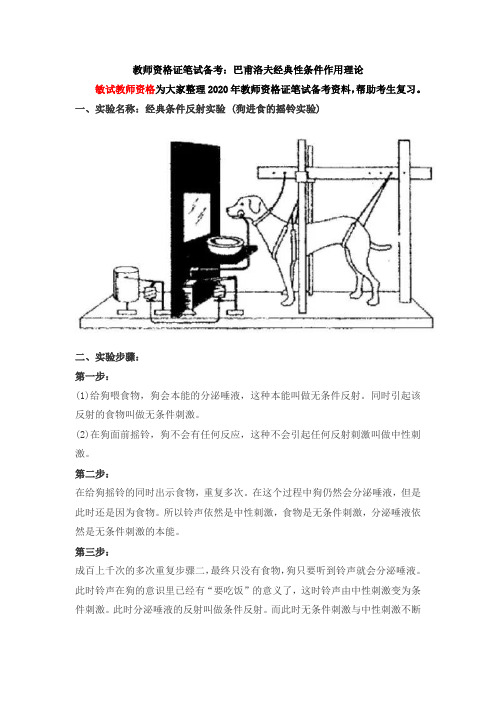 教师资格证笔试备考：巴甫洛夫经典性条件作用理论