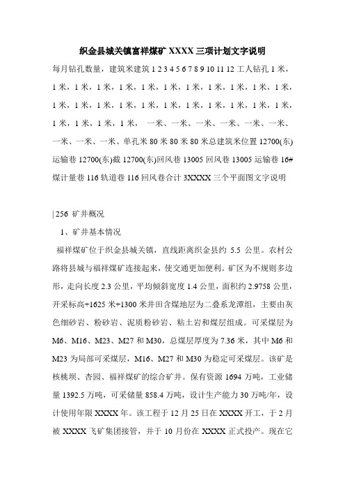 织金县城关镇富祥煤矿XXXX三项计划文字说明