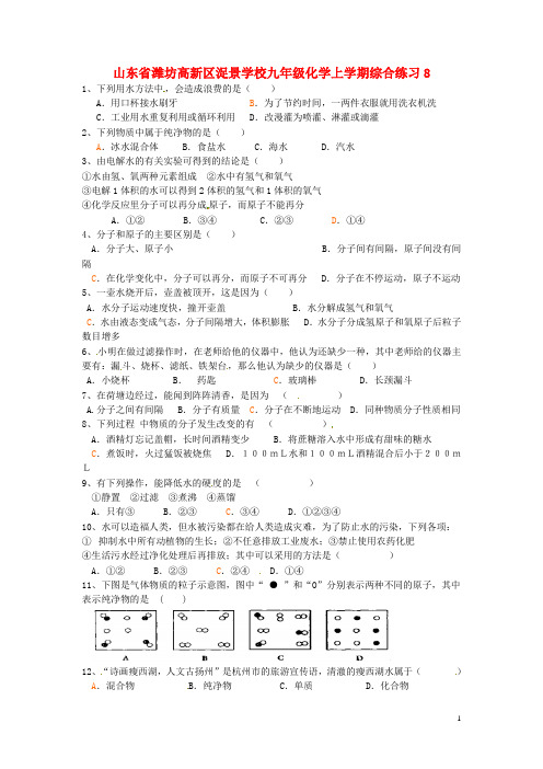 山东省潍坊高新区浞景学校九年级化学上学期综合练习8 新人教版