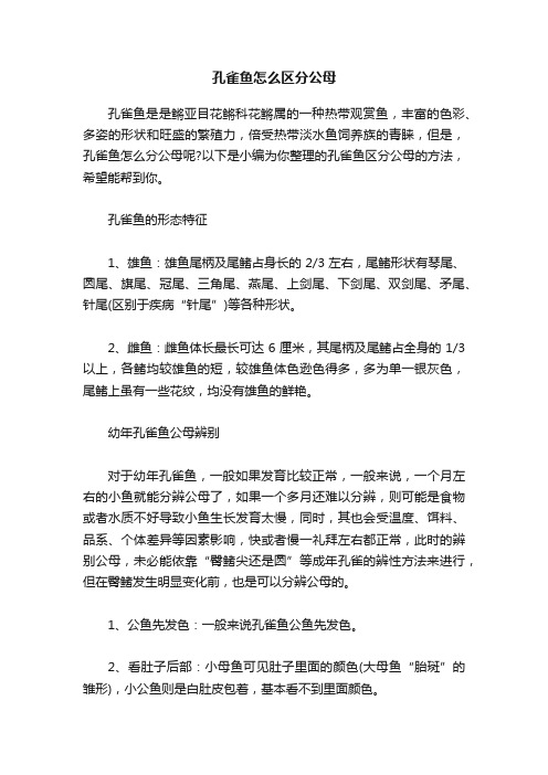 孔雀鱼怎么区分公母