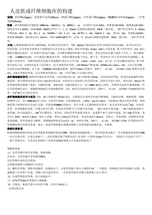 成纤维细胞培养