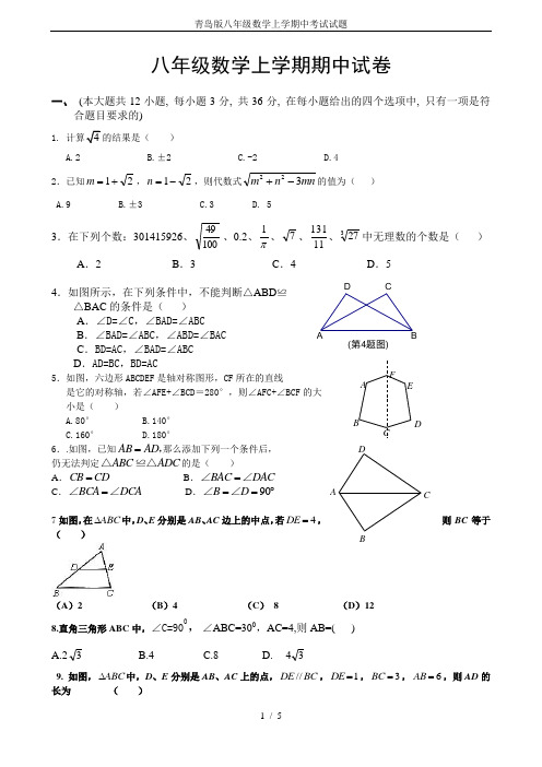 青岛版八年级数学上学期中考试试题