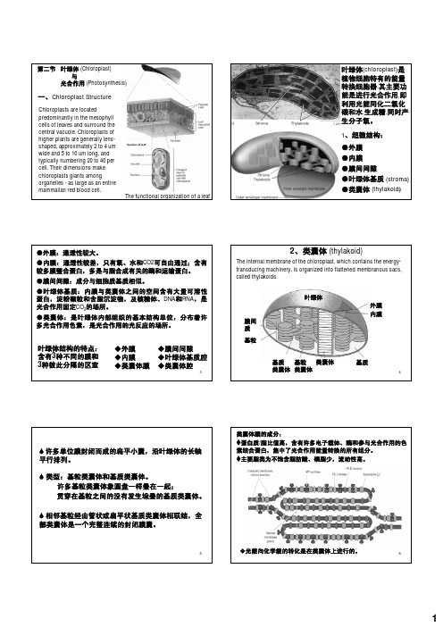 细胞生物学2011ch8-chl