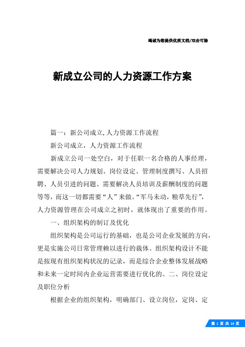 新成立公司的人力资源工作方案