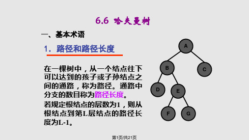 数据结构哈夫曼树PPT课件