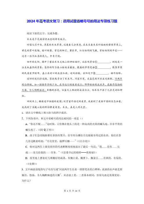 2024年高考语文复习：语用试题省略号号的用法专项练习题(含答案解析)