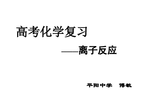09年高考化学离子反应课件5