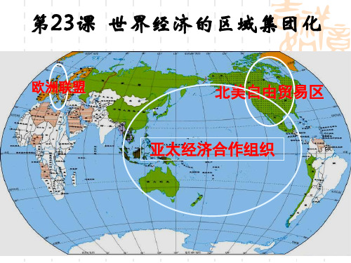 高中历史必修2《世界经济的全球化趋势第23课 世界经济的区域集团化》461人教PPT课件