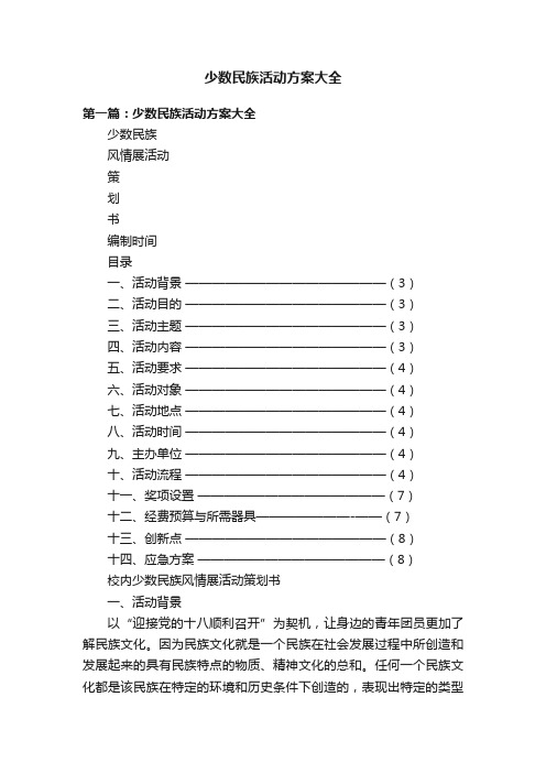 少数民族活动方案大全