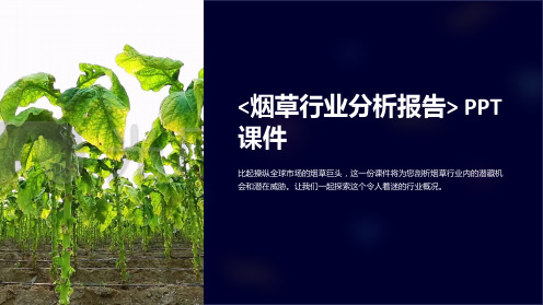 《烟草行业分析报告》课件