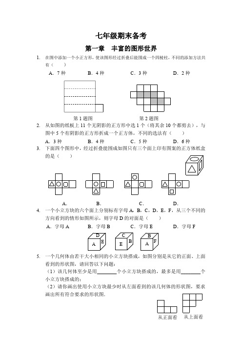 北师大版数学七年级上学期数学期末备考典型试题训练