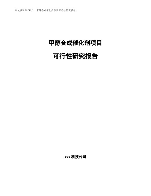 甲醇合成催化剂项目可行性研究报告