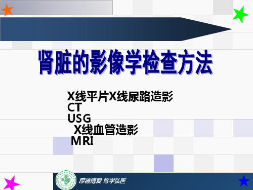 泌尿系统影像学诊断-ppt