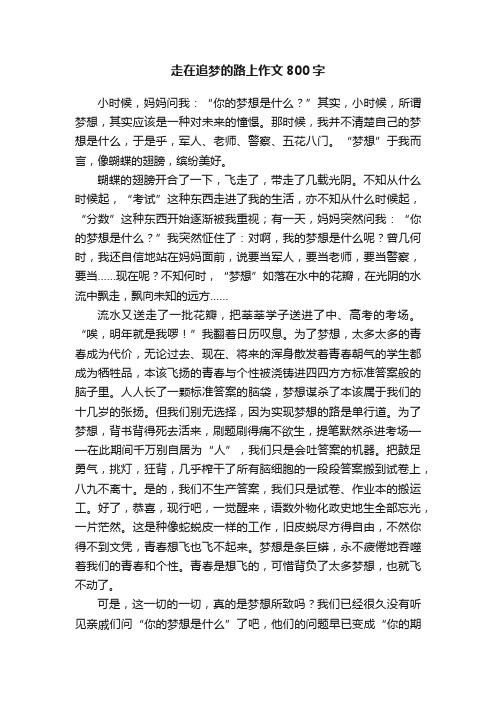 走在追梦的路上作文800字