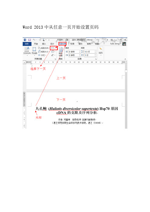 Word 2013中从任意一页开始设置页码