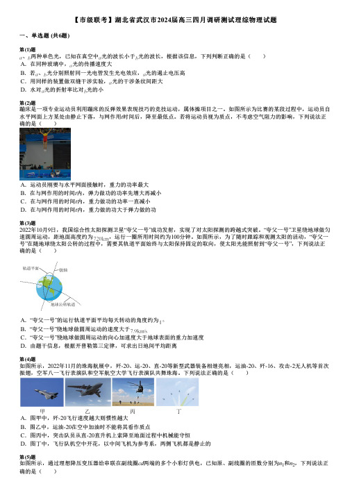 【市级联考】湖北省武汉市2024届高三四月调研测试理综物理试题