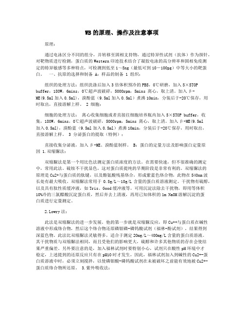 WB的原理操作及注意事项