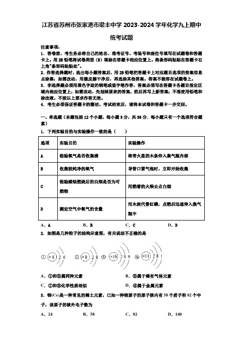 江苏省苏州市张家港市梁丰中学2023-2024学年化学九上期中统考试题含解析