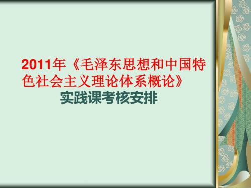 毛概社会调查