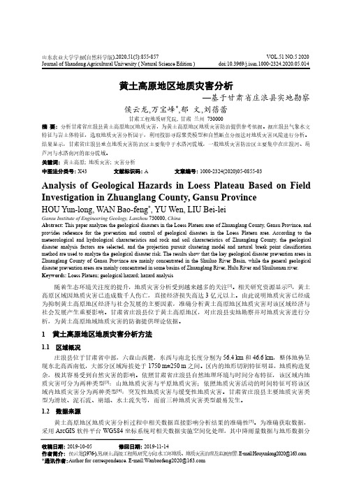 黄土高原地区地质灾害分析——基于甘肃省庄浪县实地勘察