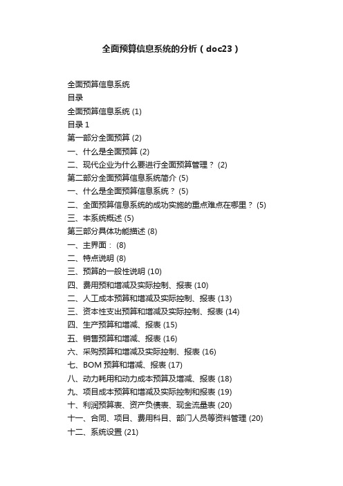 全面预算信息系统的分析（doc23）