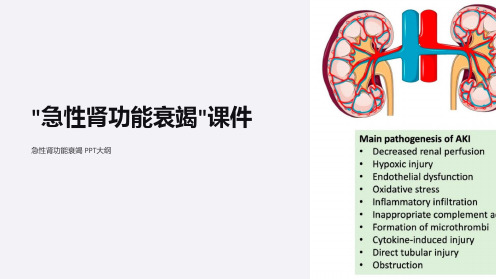 “急性肾功能衰竭”课件