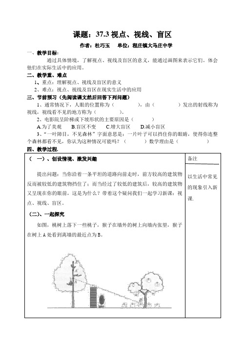 视点、视线、盲区学教案