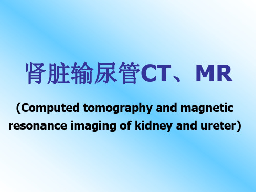 医学影像-肾脏输尿管CT、MR