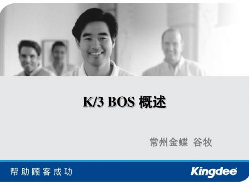 第一节  K3 BOS 概述