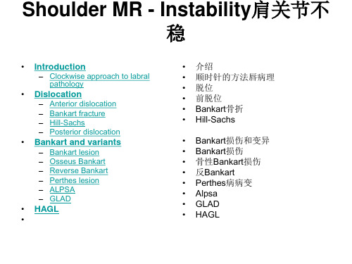 Shoulder MR  Instability(肩关节不稳)PPT课件