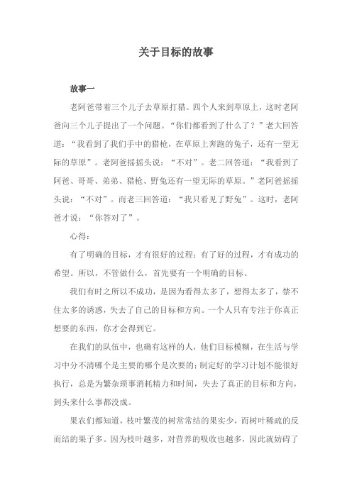 关于目标的故事