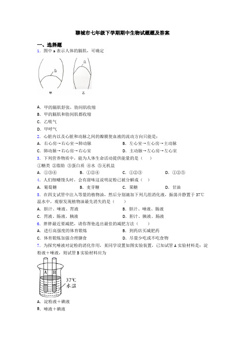 聊城市七年级下学期期中生物试题题及答案