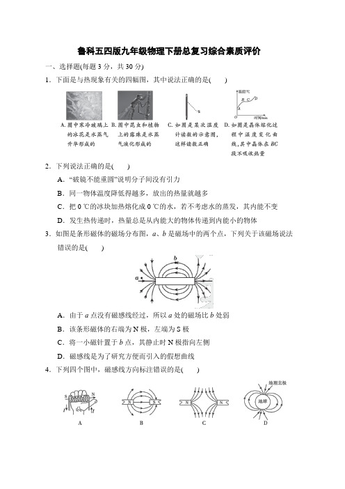 鲁科五四版九年级物理下册总复习综合素质评价 附答案