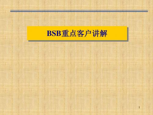 BSB重点客户讲解