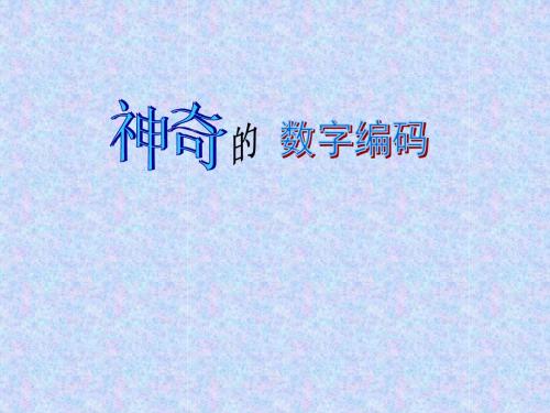 _神奇的数字编码