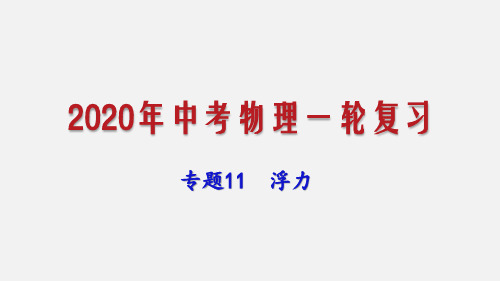 2020年中考物理一轮复习课件专题11 浮力