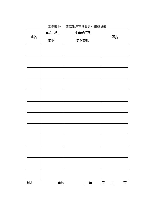 企业清洁生产审核填写表格