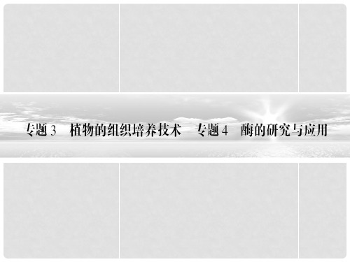 高考生物总复习 专题34植物的组织培养技术霉的研究与应用配套课件 新人教版选修1