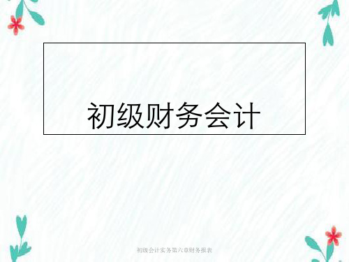 初级会计实务第六章财务报表