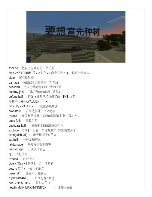 我的世界Minecraft单机指令表(密技)