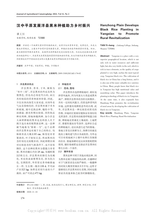 汉中平原发展洋县黑米种植助力乡村振兴