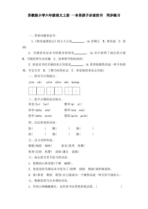 苏教版小学六年级语文 一本男孩子必读的书同步练习