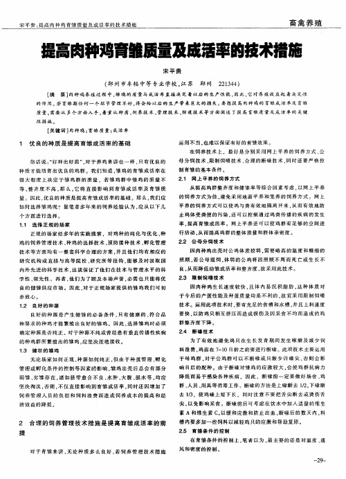 提高肉种鸡育雏质量及成活率的技术措施