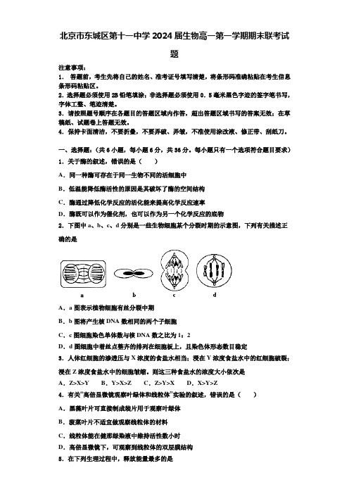 北京市东城区第十一中学2024届生物高一第一学期期末联考试题含解析