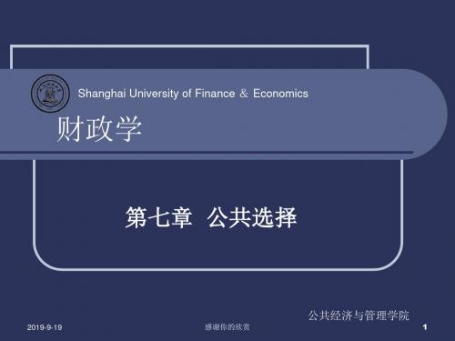 财政学——第七章 公共选择.pptx